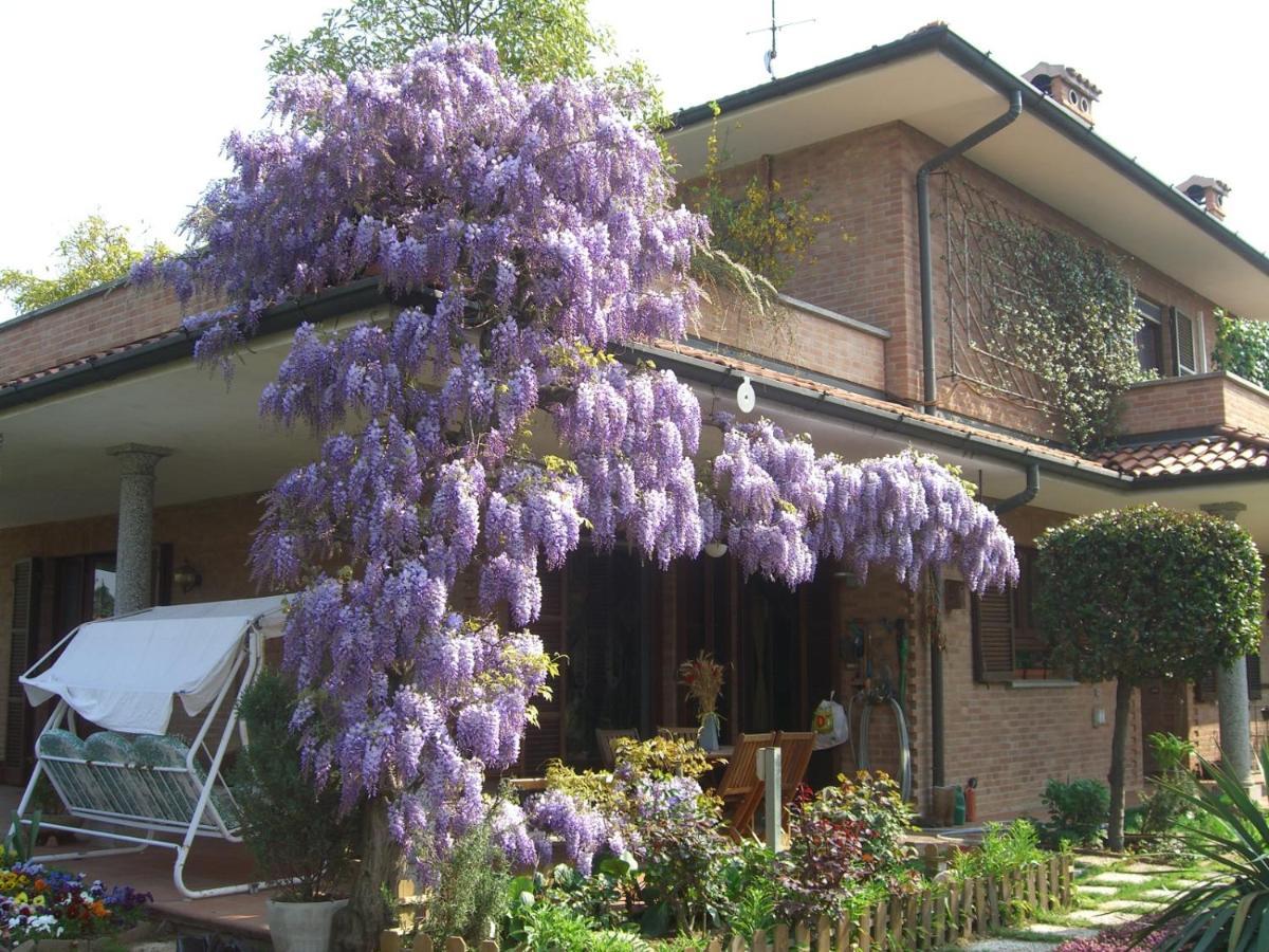 B&B Les Fleurettes Λομάτζο Εξωτερικό φωτογραφία